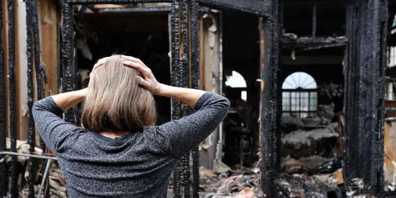 shutterstock_749013694_Fotor