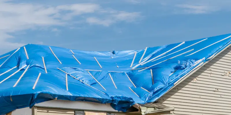 Intro to Disaster Restoration