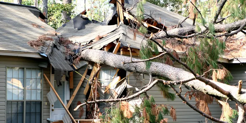 What You Need to Know About Storm Damage Restoration